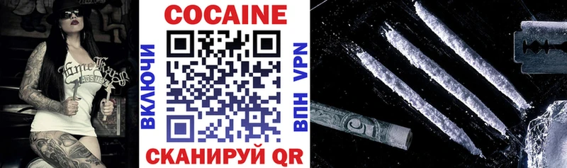 Cocaine Fish Scale  Купить закладки  Зеленогорск 